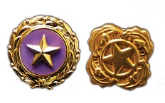 http://www.massmilitaryheroes.org/wp-content/uploads/2014/05/Department-of-Defense-Gold-Star-Lapel-and-Next-of-Kin-Pins.jpg